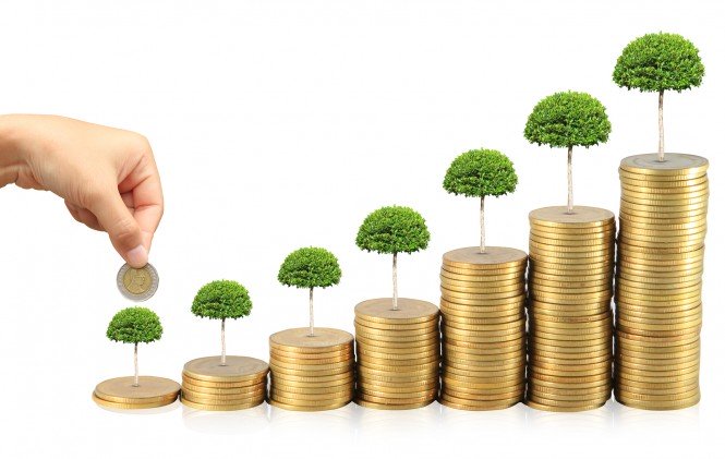 Using dividend franking credits Image